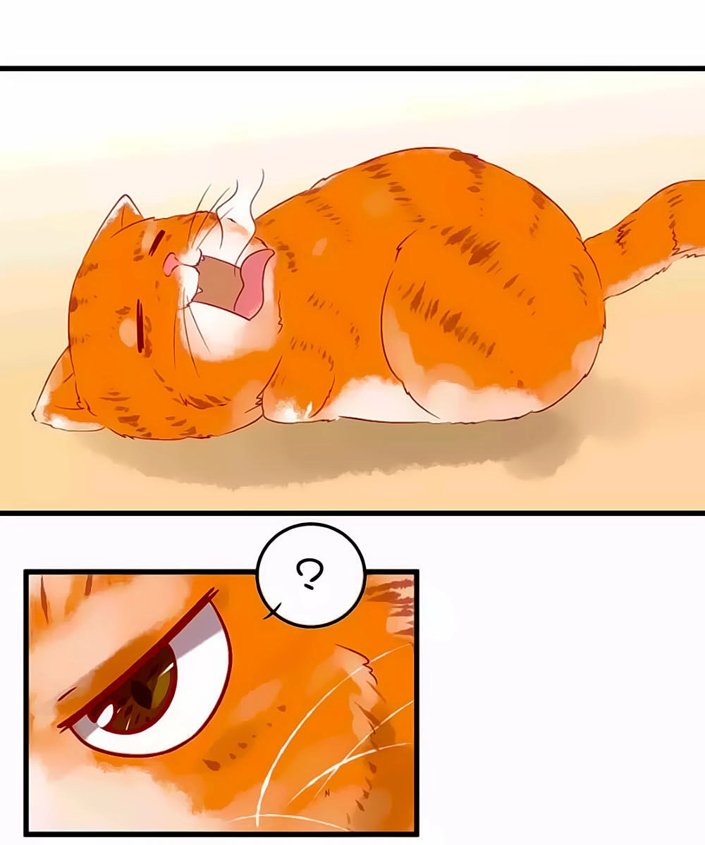 Tổng Tài, Như Vậy Nhanh Quá Chapter 7 - 27