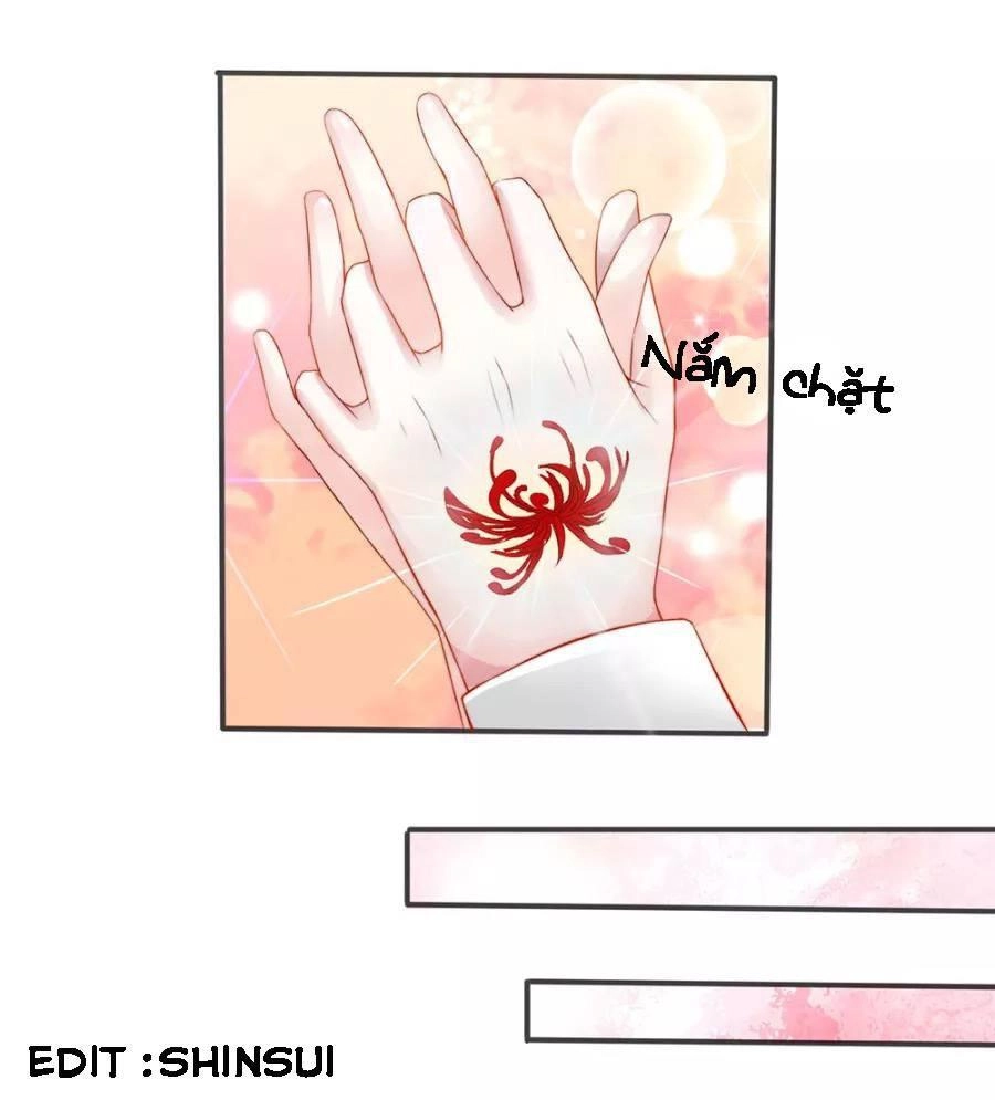 Tuyệt Sủng Kiều Thê Của Minh Vương Chapter 2 - 12