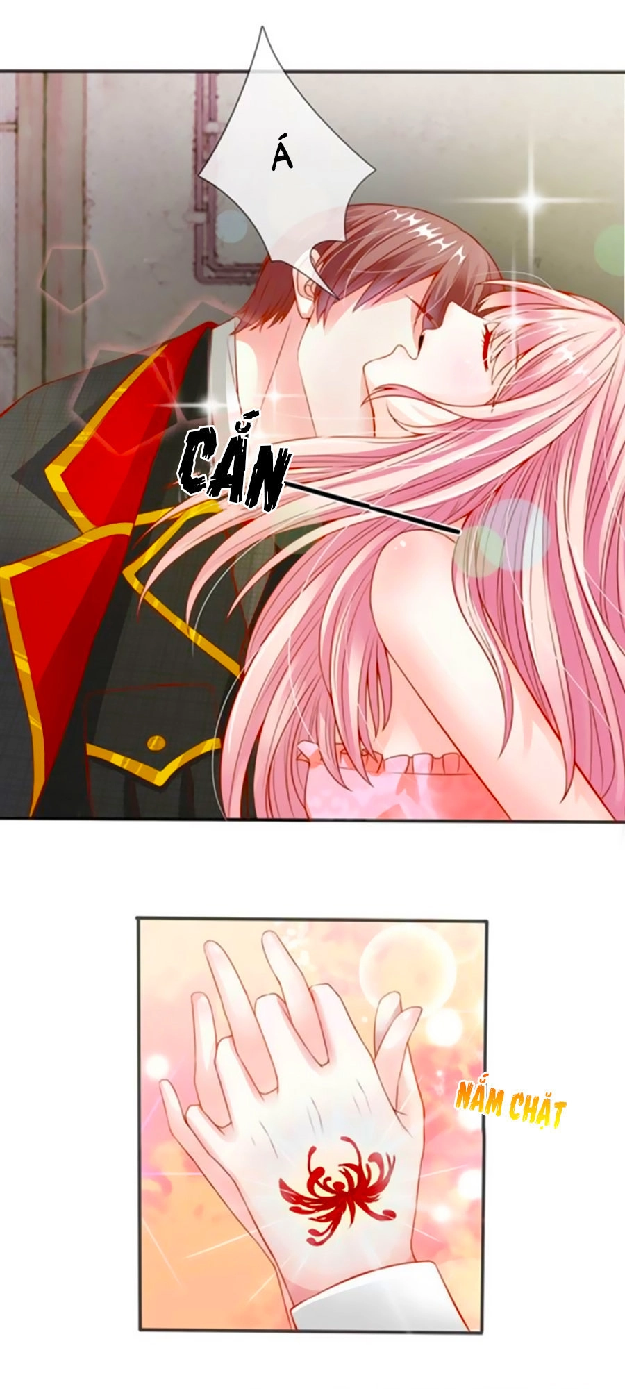 Tuyệt Sủng Kiều Thê Của Minh Vương Chapter 4 - 8