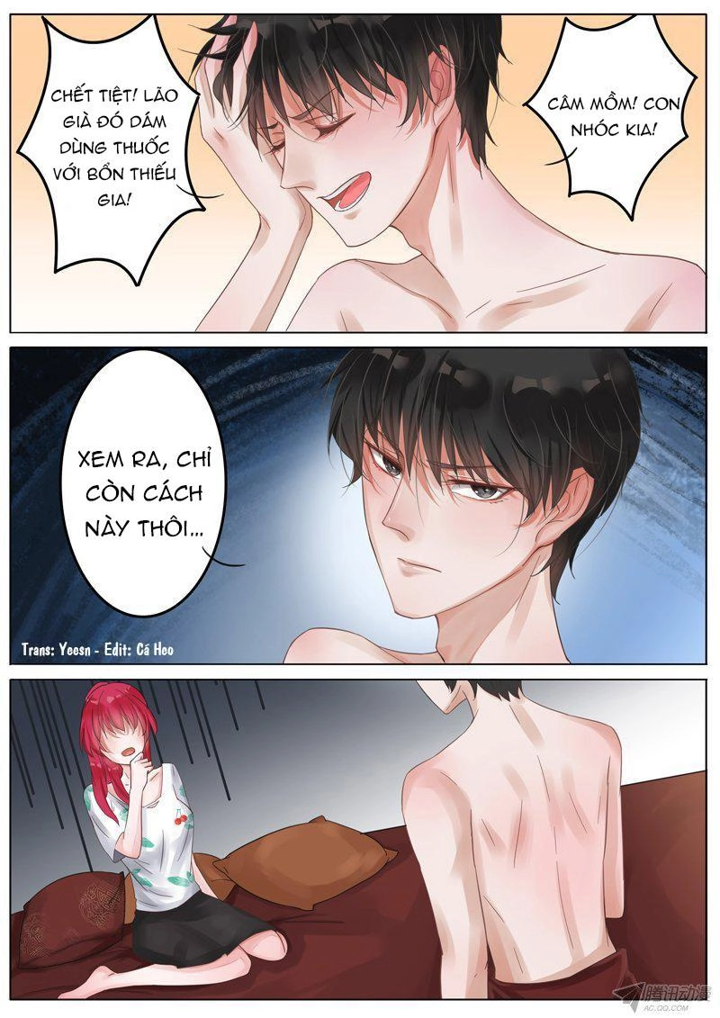 Vương Bài Giáo Thảo Chapter 2 - 6