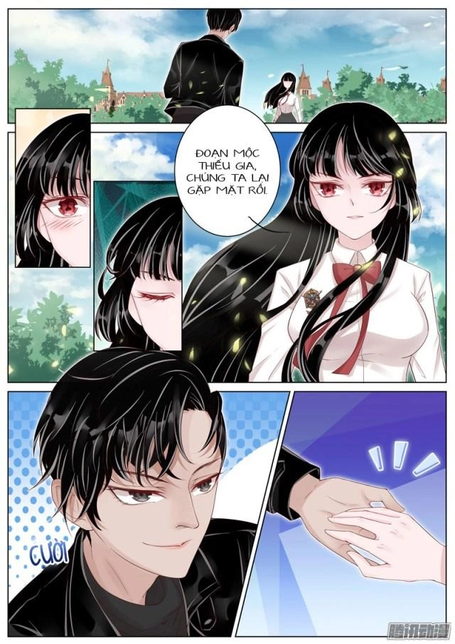 Vương Bài Giáo Thảo Chapter 10 - 8