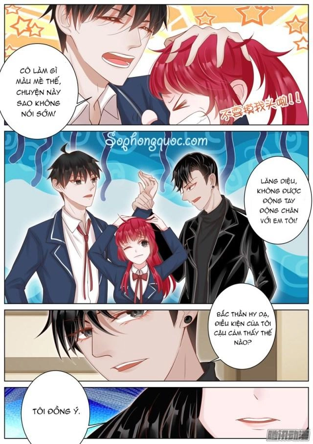 Vương Bài Giáo Thảo Chapter 13 - 9