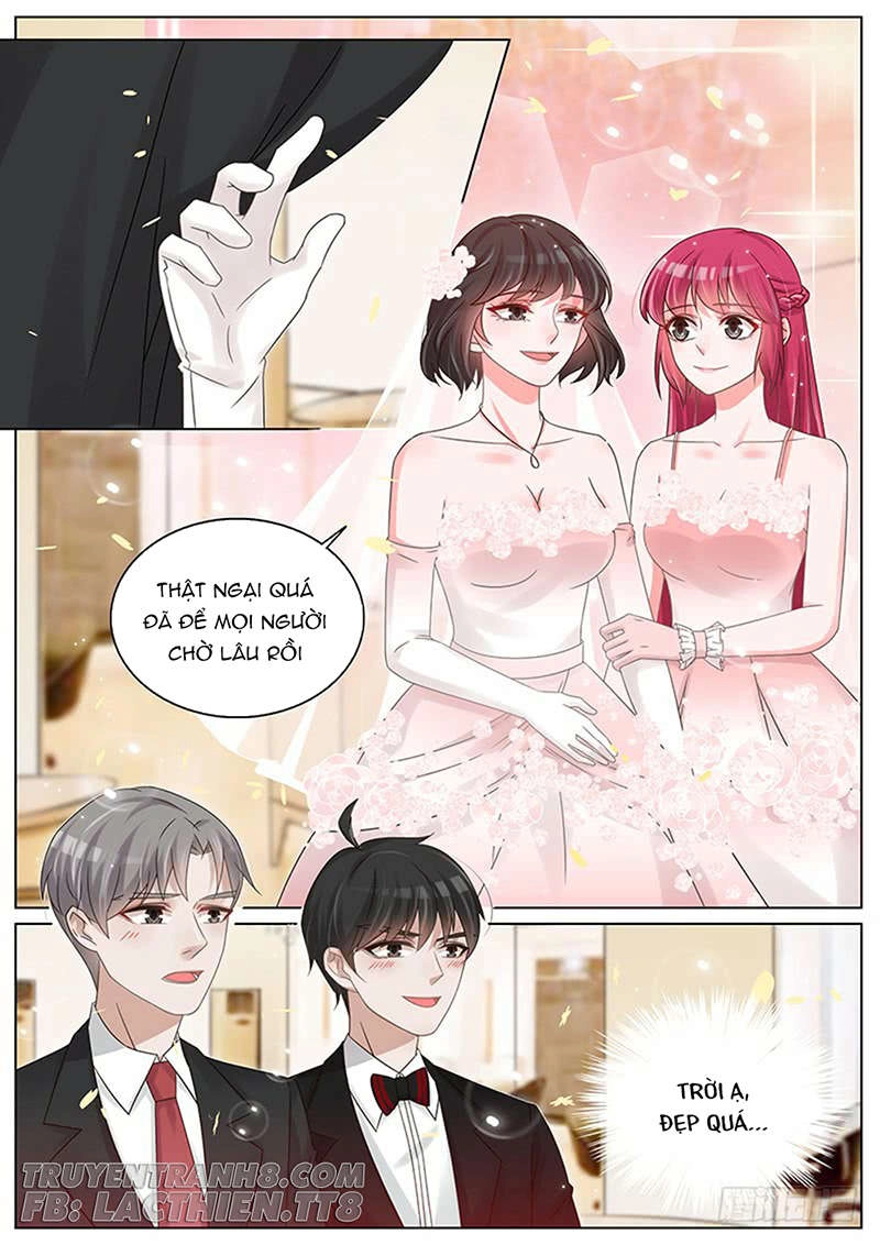 Vương Bài Giáo Thảo Chapter 211 - 8