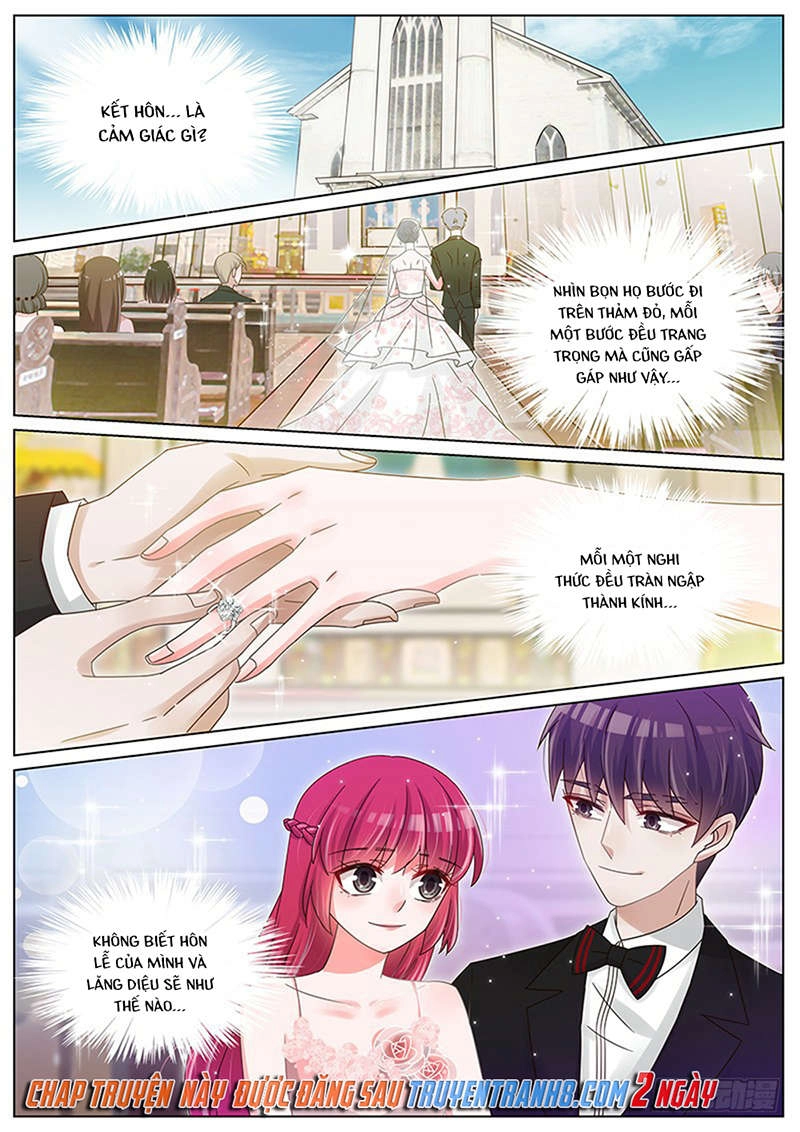 Vương Bài Giáo Thảo Chapter 211 - 11