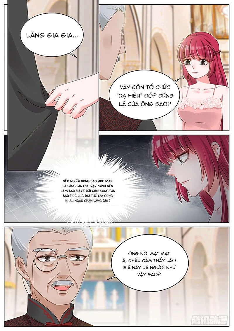 Vương Bài Giáo Thảo Chapter 212 - 8