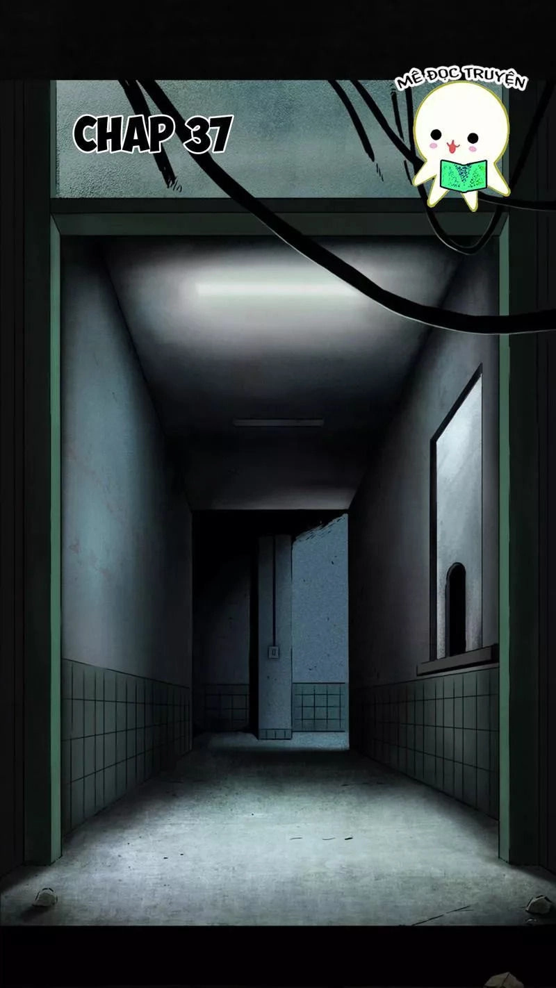 Thành Đô 1995 Chapter 37 - 1