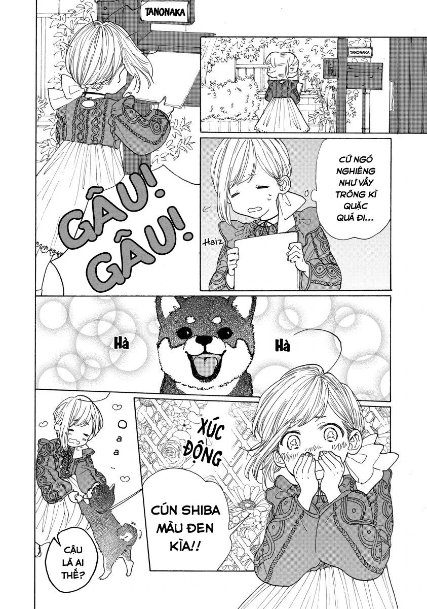 Bí Mật Của Madoka Chapter 1 - 19