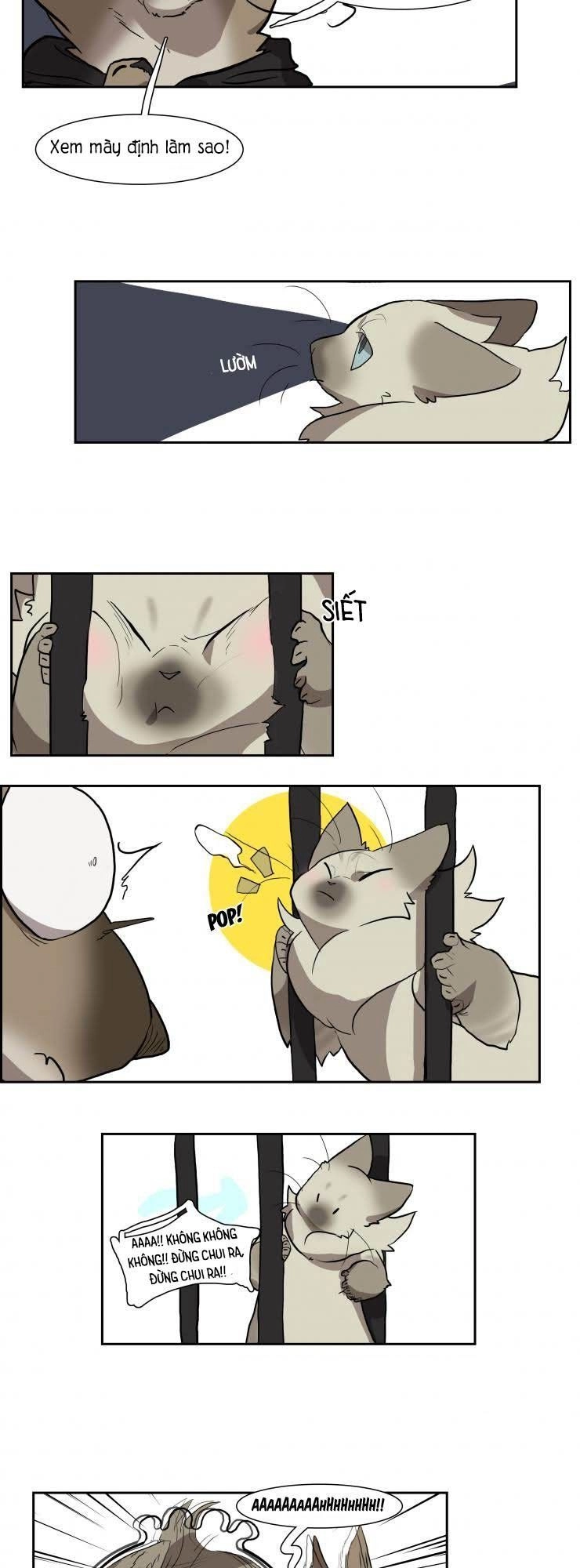 Cat Girl And Bodyguards Chapter 21 - 3