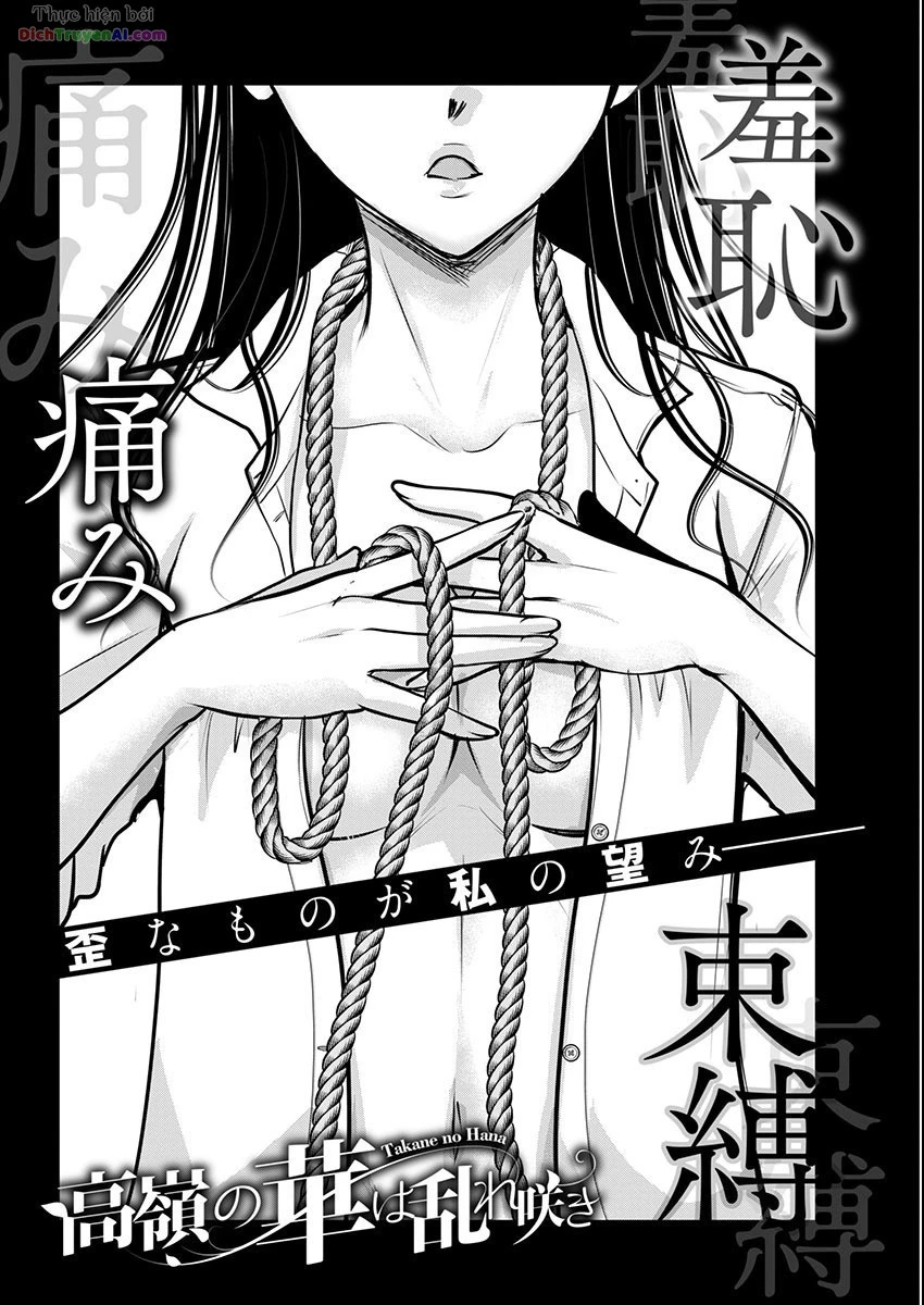 Nụ Hoa Trên Đỉnh Ngày Ấy Đã Nở Rồi! Chapter 62 - 4