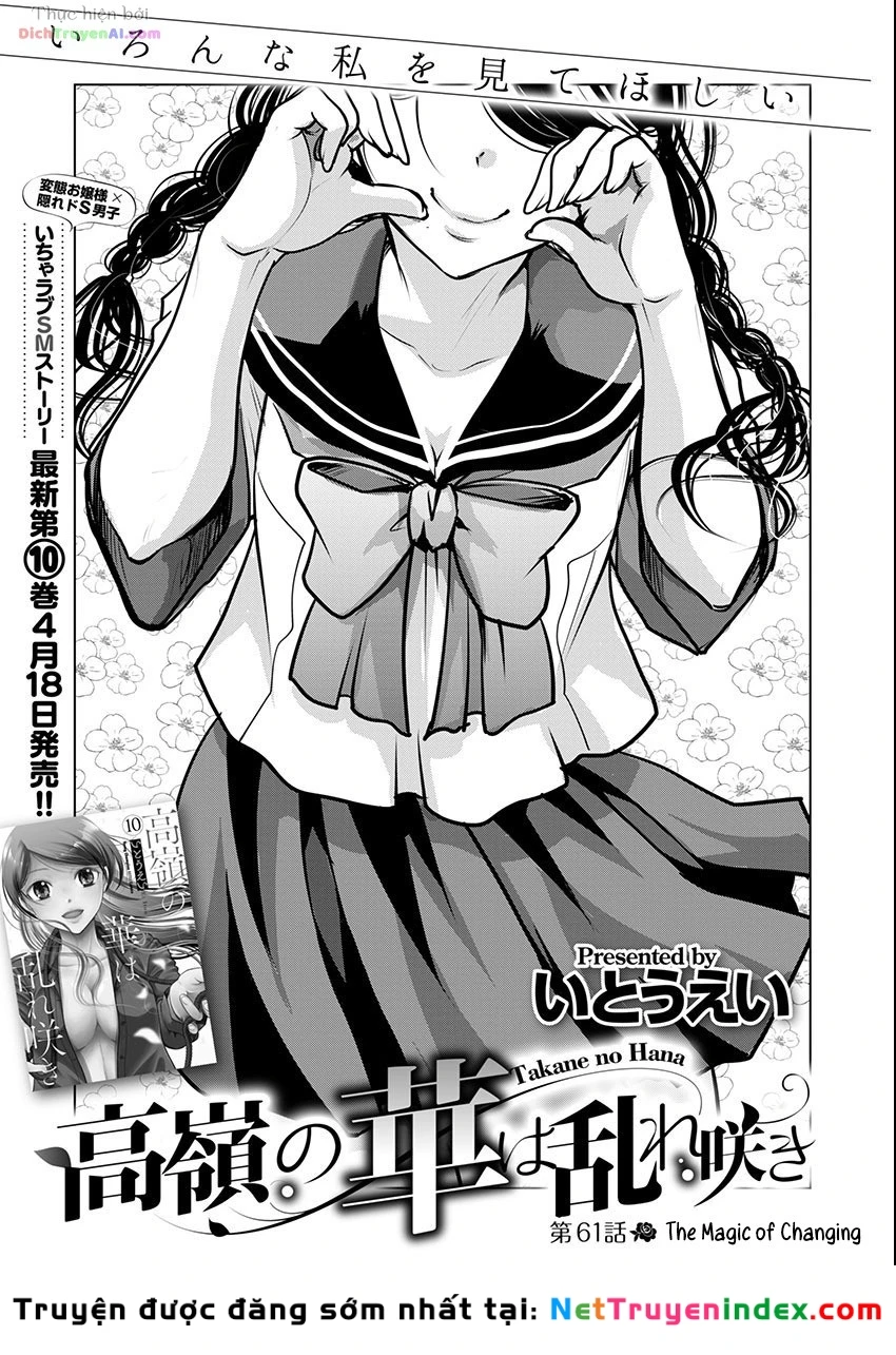 Nụ Hoa Trên Đỉnh Ngày Ấy Đã Nở Rồi! Chapter 61 - 5