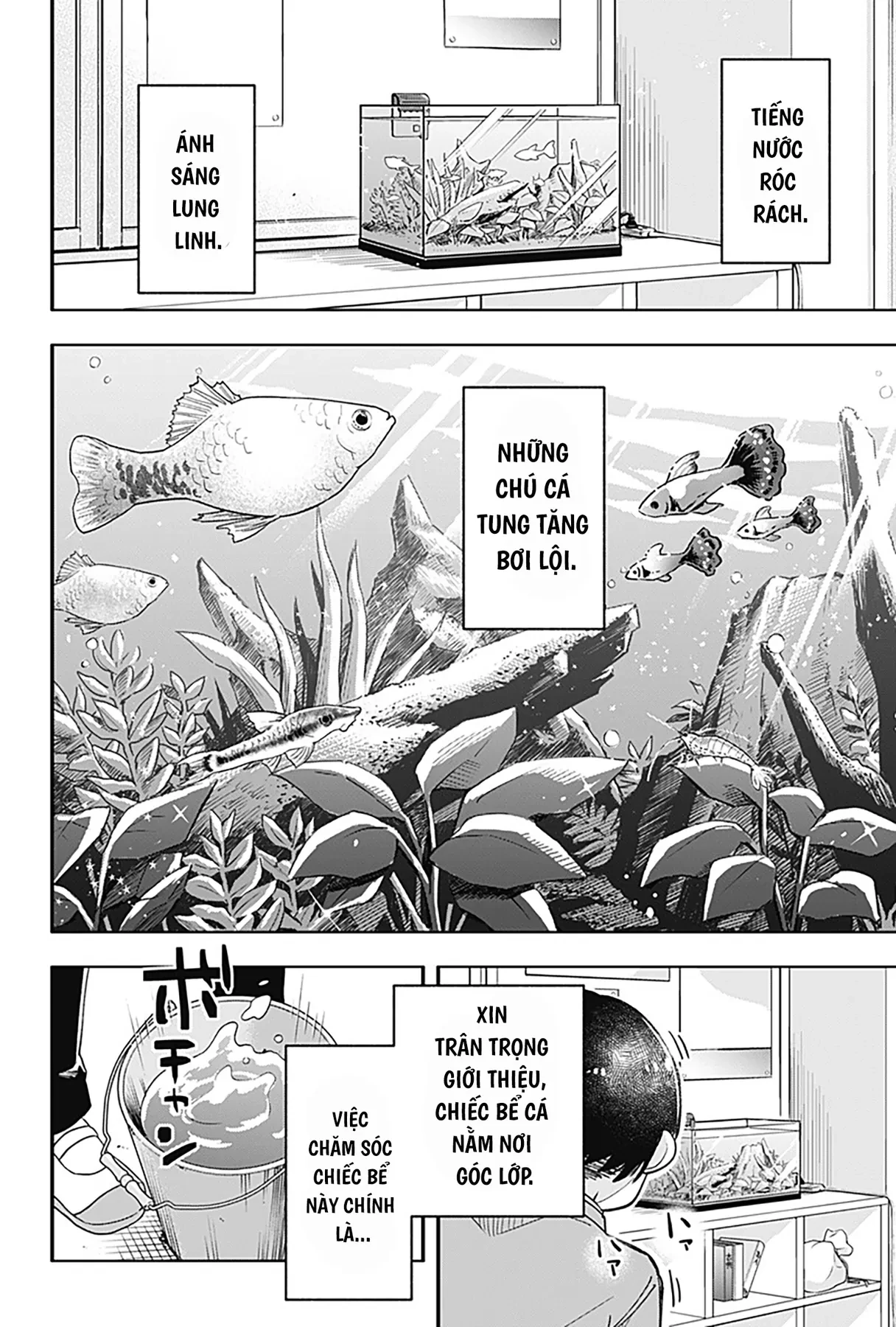 Bể Cá Sau Giờ Học Oneshot - 3