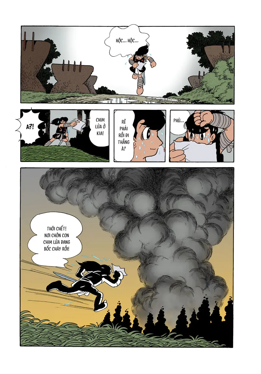 Chim Lửa (Official Colored) Chapter 1.6 - 20