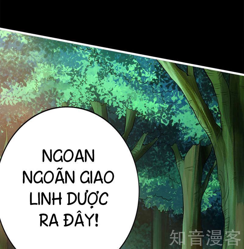 Tiên Võ Đế Tôn Chapter 1 - 24