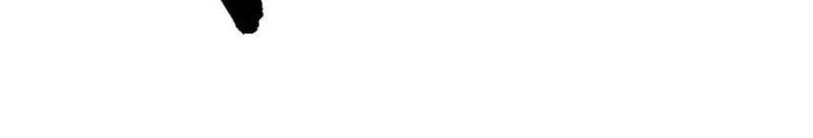 Tiên Võ Đế Tôn Chapter 346 - 12