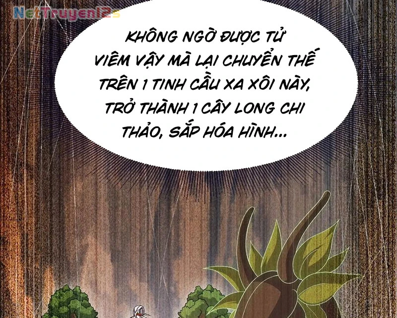 Tiên Võ Đế Tôn Chapter 824 - 144