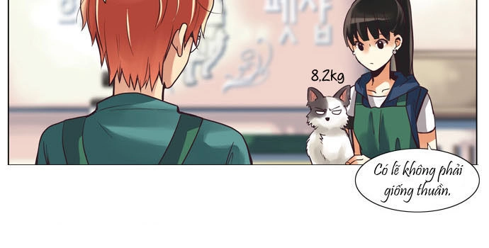 Cưng À! Chỉ Có Anh Không Biết Thôi Chapter 22 - 14