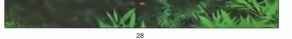 Tuyệt Thế Vô Song 2 Chapter 46 - 52