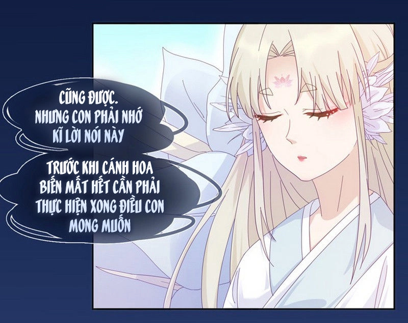 Ảnh Đế Lão Công Độc Ác Yêu Chapter 2 - 13