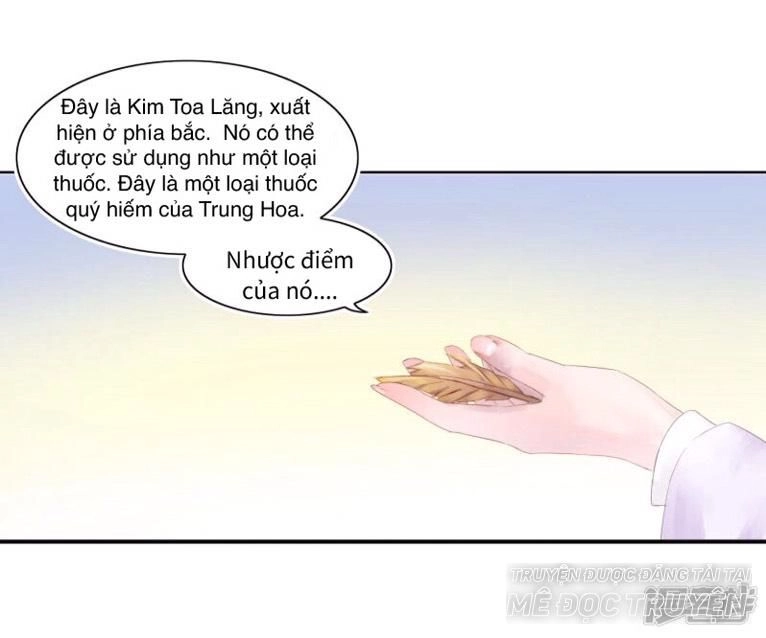 Thịnh Thế Vô Cấu Chapter 6 - 21