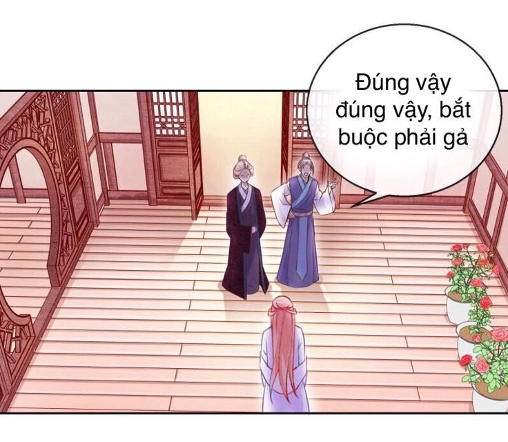 Thịnh Thế Vô Cấu Chapter 11 - 11
