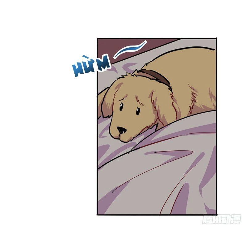 Ngôn Tình Nam Chính Không Thẳng Được Chapter 7 - 3