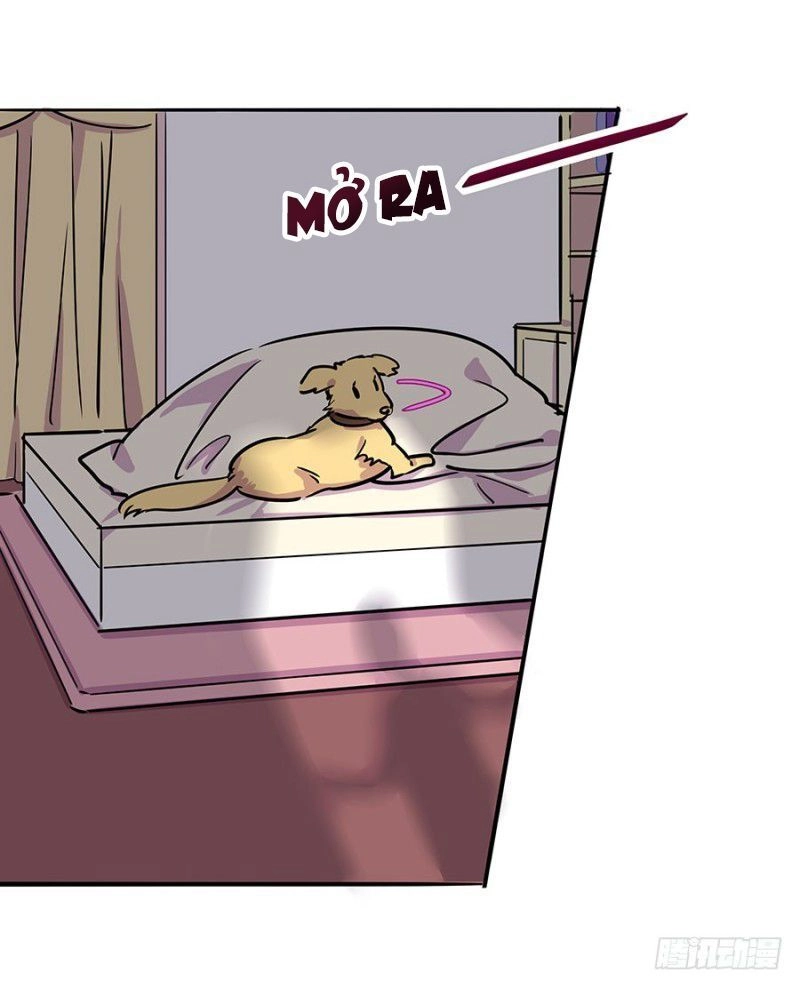 Ngôn Tình Nam Chính Không Thẳng Được Chapter 7 - 4