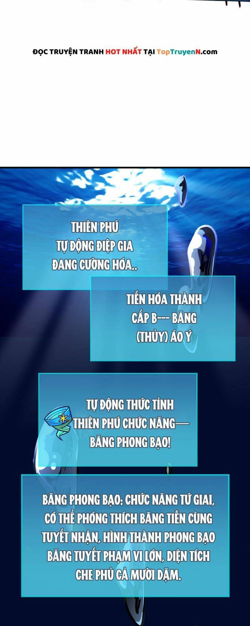 Tử Giới, Thức Tỉnh Tài Năng Hạng SSS Chapter 29 - 48