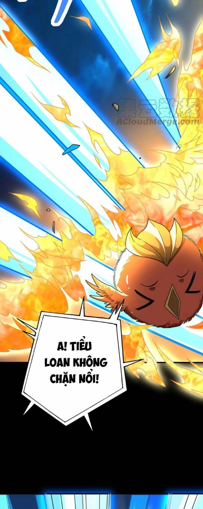 Tử Giới, Thức Tỉnh Tài Năng Hạng SSS Chapter 39 - 47