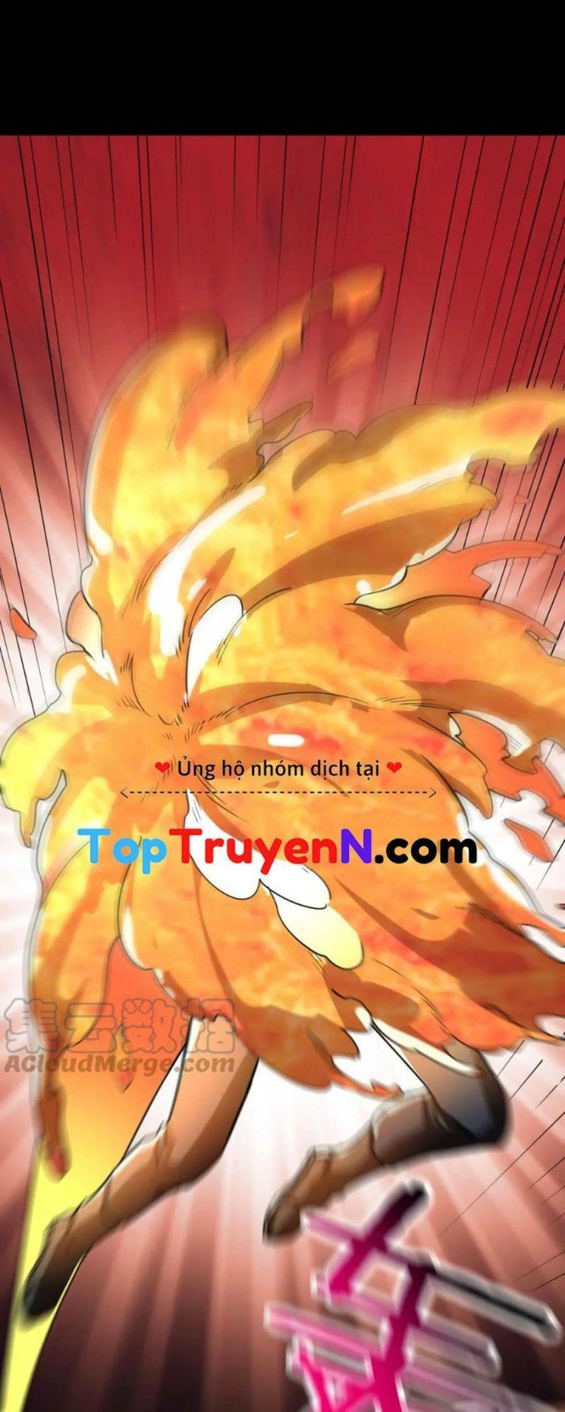 Tử Giới, Thức Tỉnh Tài Năng Hạng SSS Chapter 40 - 15