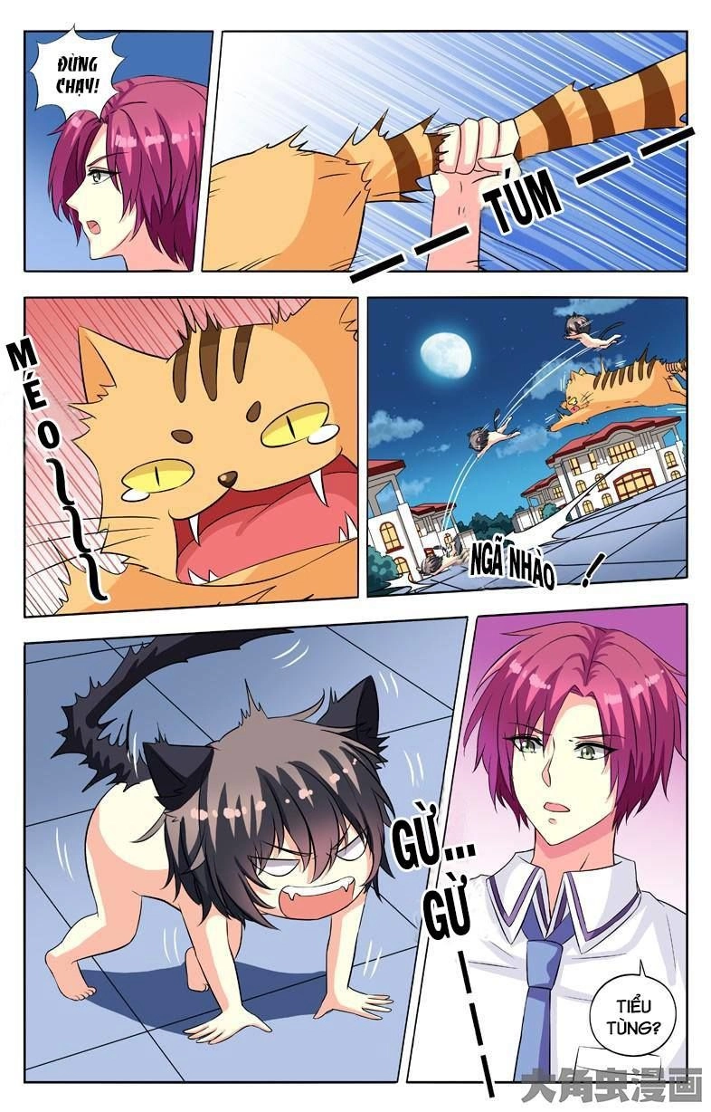 Nam Thần Của Tôi Chapter 54 - 9