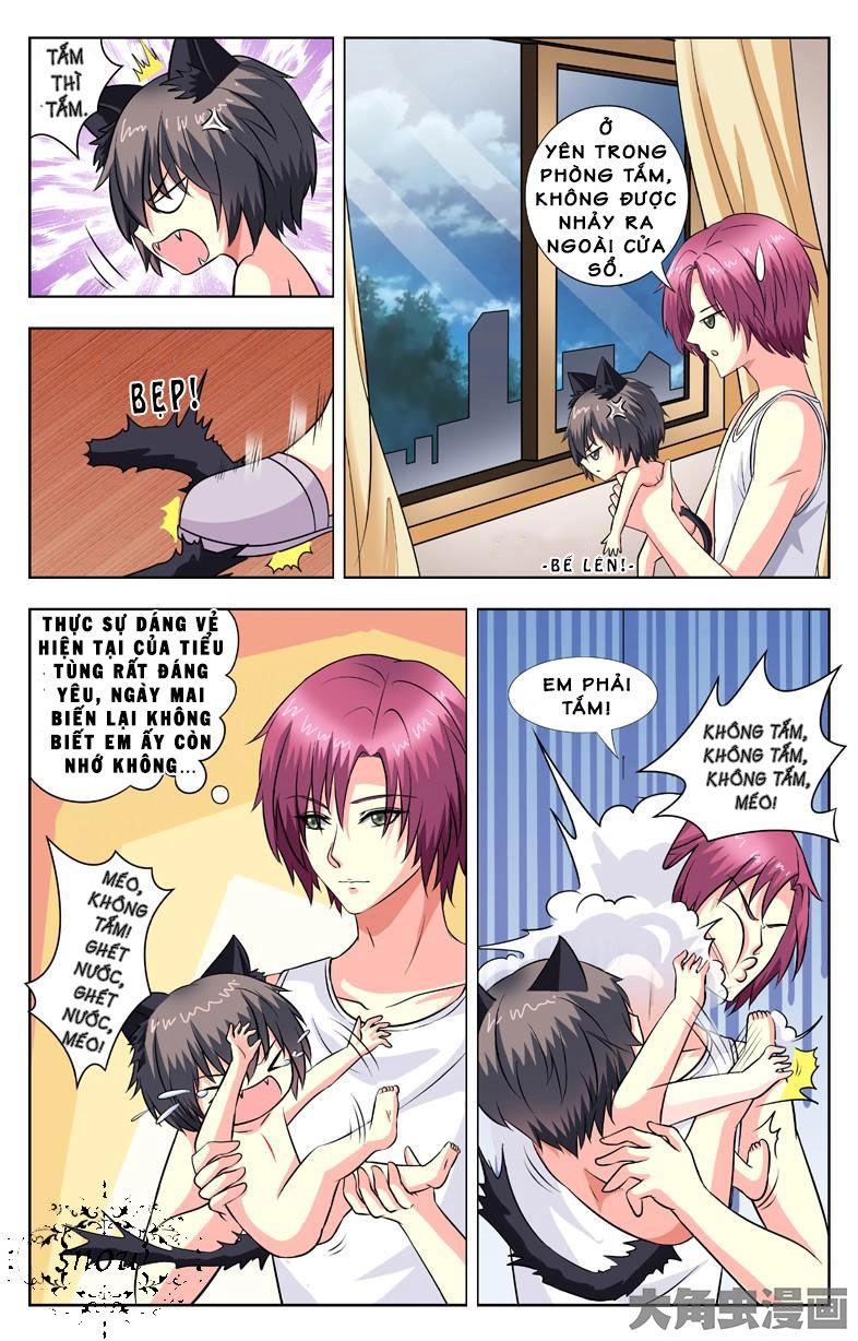 Nam Thần Của Tôi Chapter 58 - 8