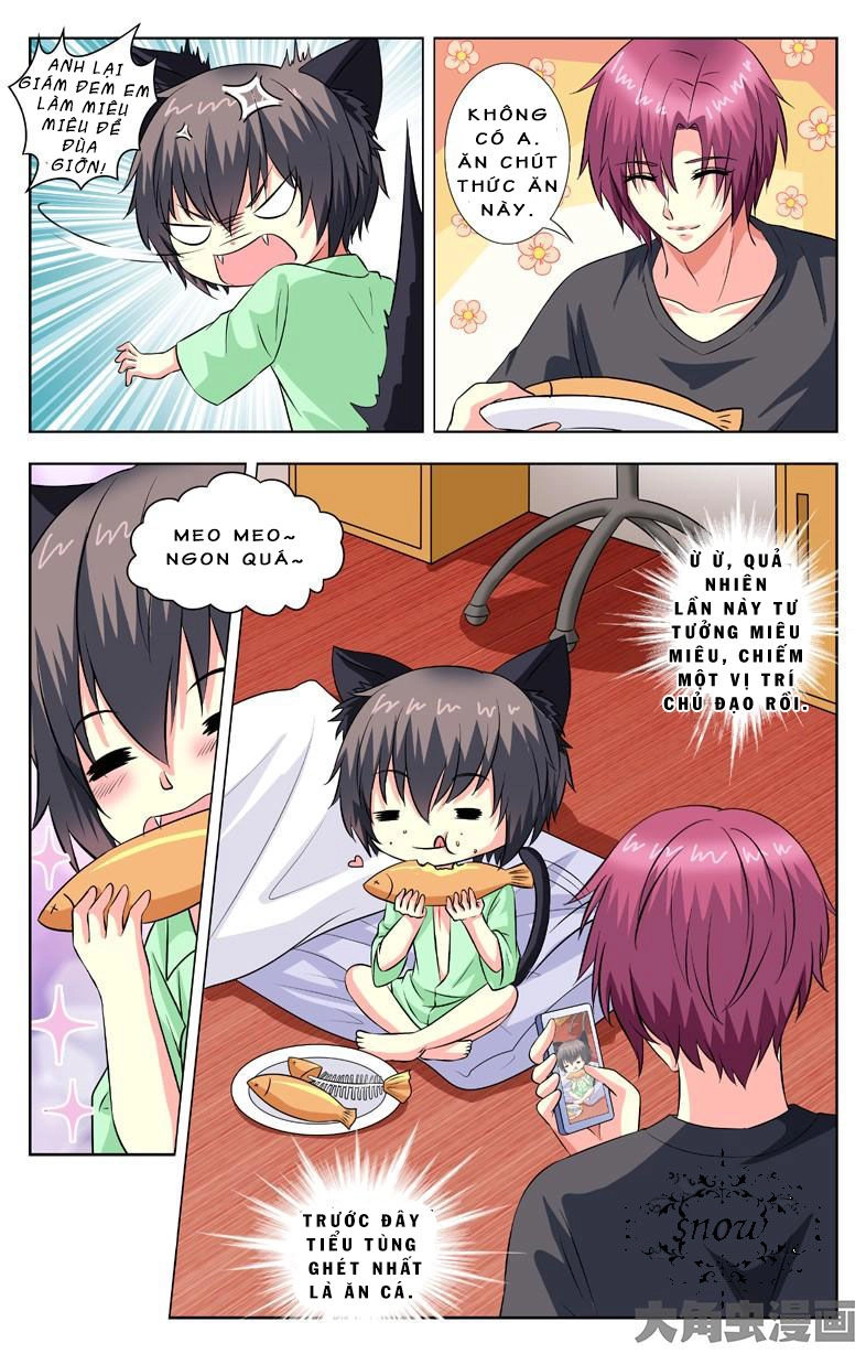 Nam Thần Của Tôi Chapter 59 - 5