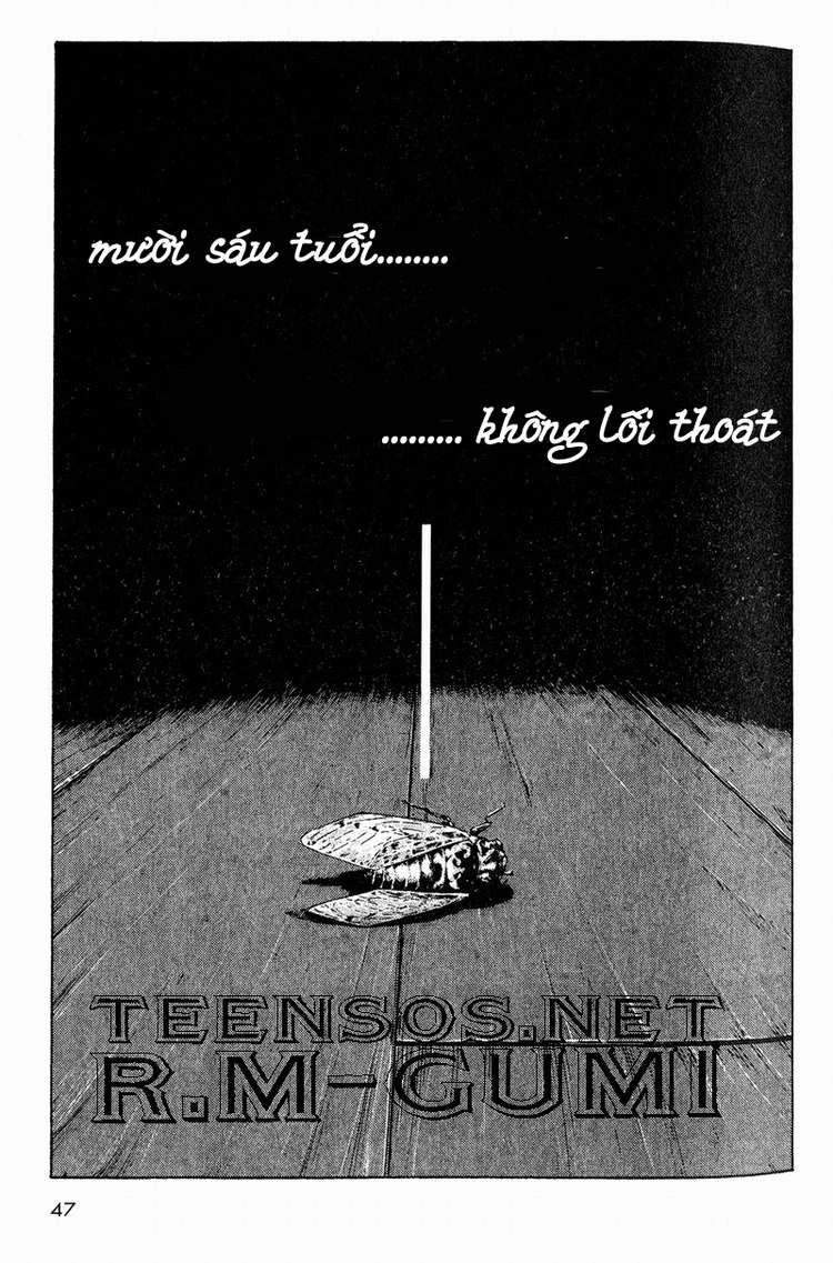 Shamo Chapter 2 - 17