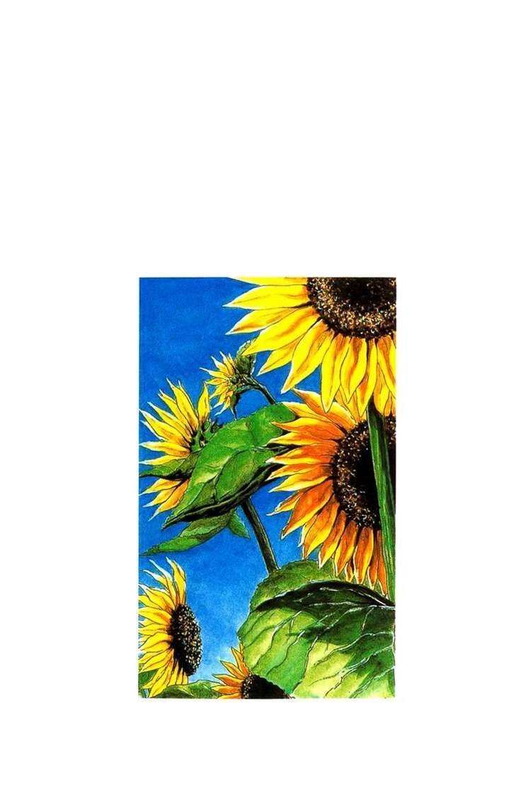 Shamo Chapter 10 - 20