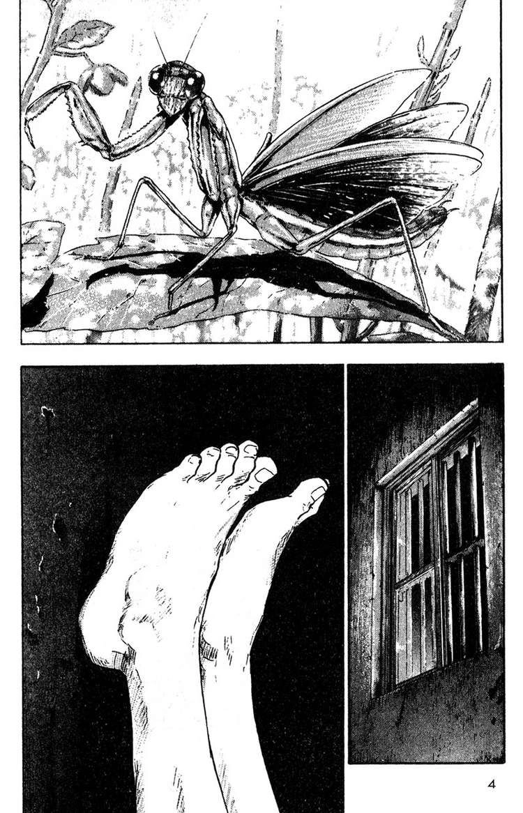 Shamo Chapter 11 - 5