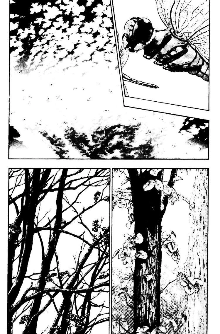 Shamo Chapter 17 - 4