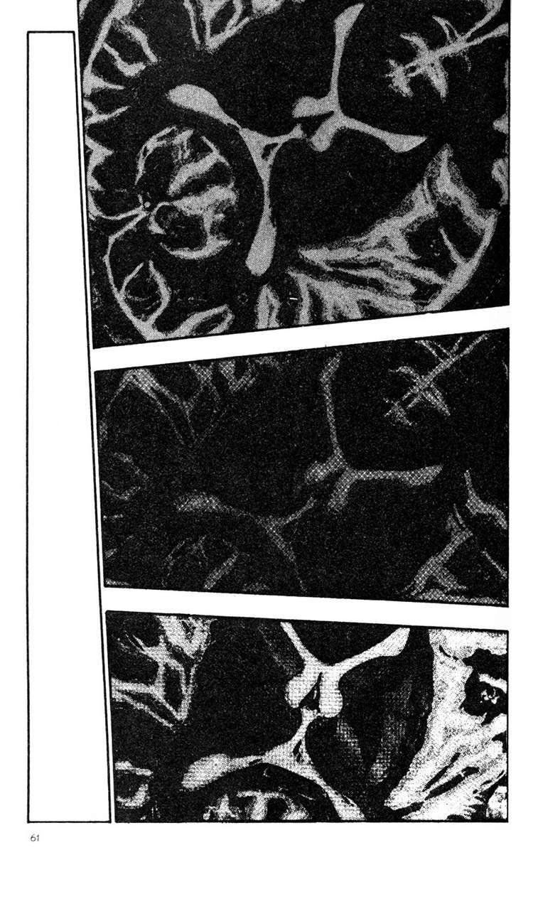 Shamo Chapter 23 - 13