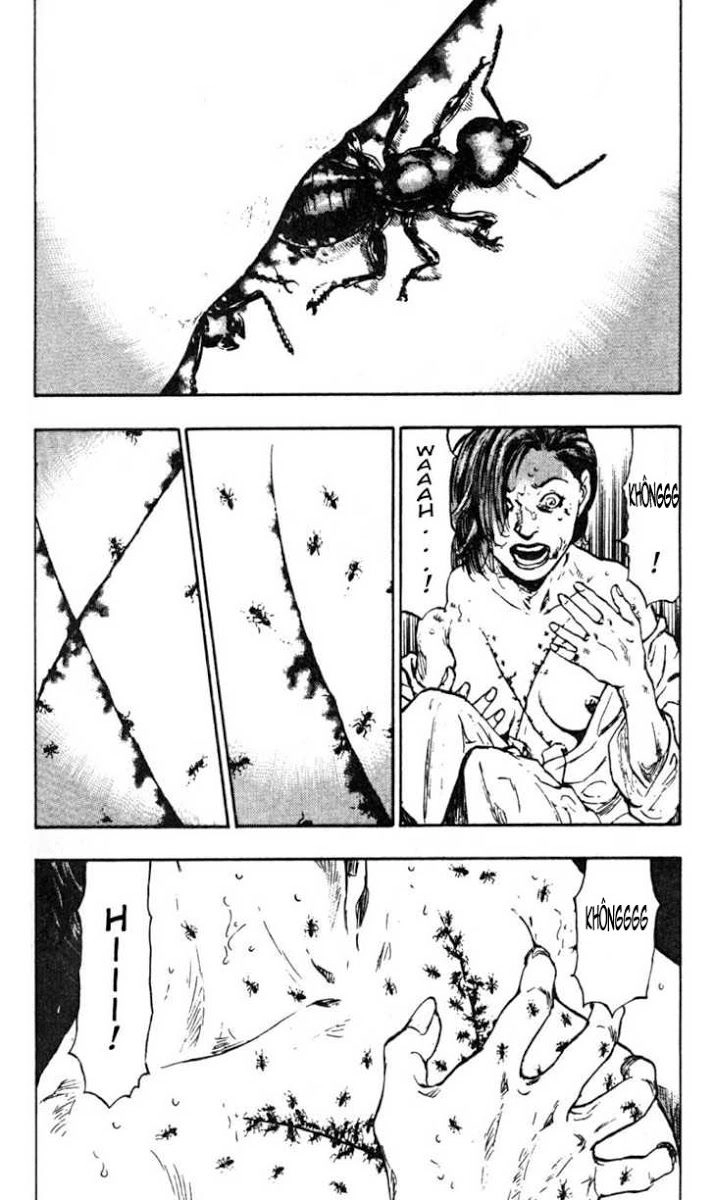 Shamo Chapter 26 - 15