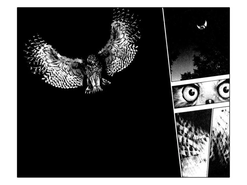 Shamo Chapter 53 - 10