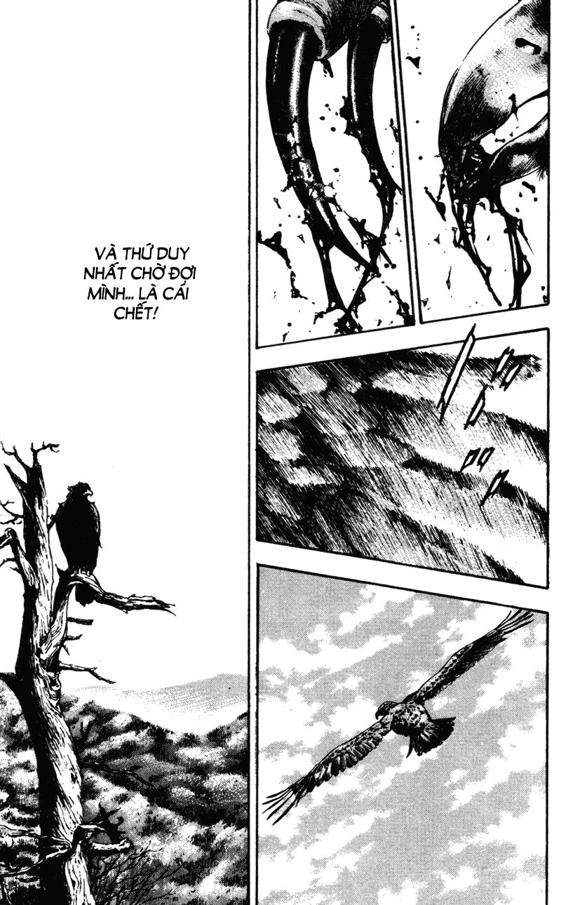 Shamo Chapter 70 - 15