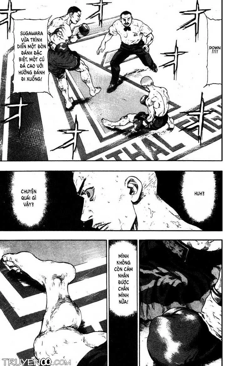 Shamo Chapter 95 - 12