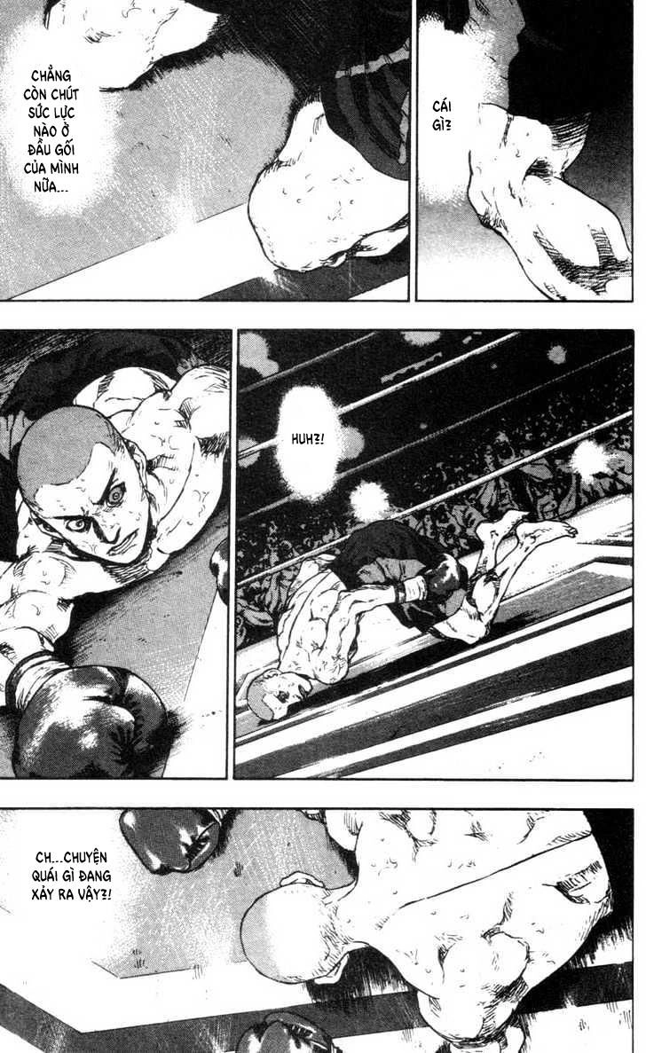 Shamo Chapter 95 - 14