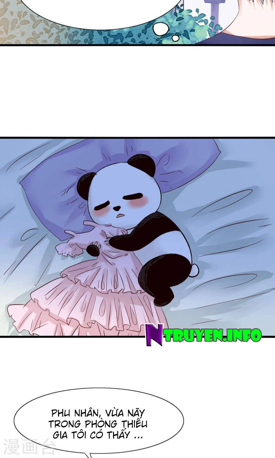 Tôi Bị Gấu Trúc Nhìn Trúng Rồi Chapter 10 - 24