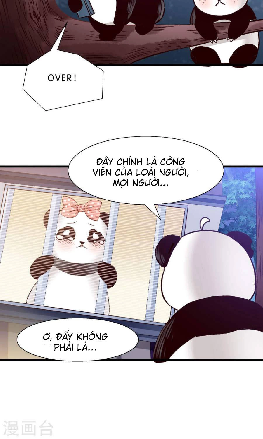 Tôi Bị Gấu Trúc Nhìn Trúng Rồi Chapter 10 - 28