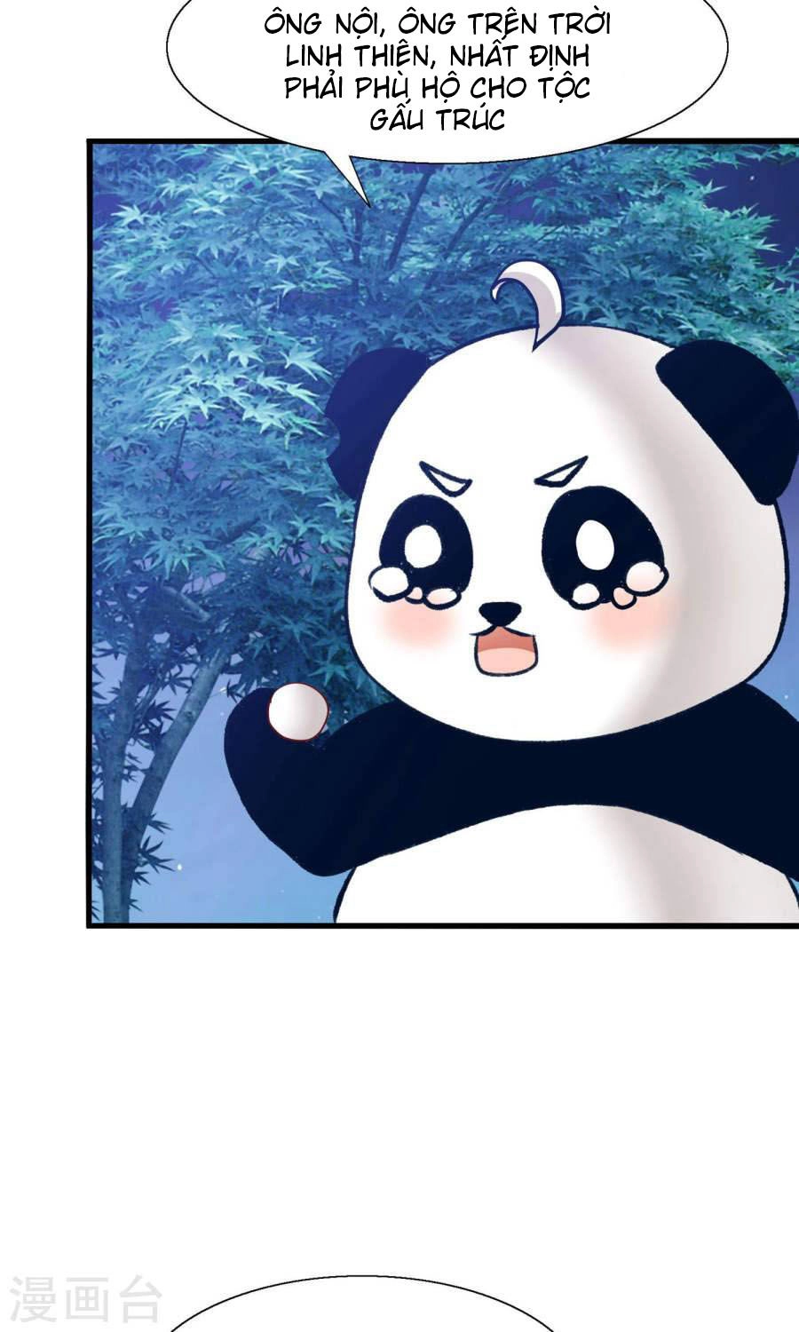 Tôi Bị Gấu Trúc Nhìn Trúng Rồi Chapter 10 - 30