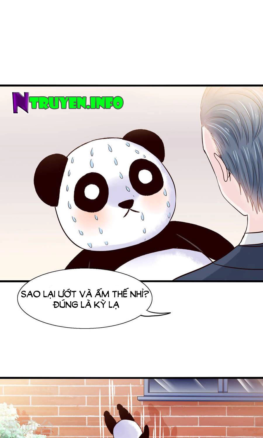 Tôi Bị Gấu Trúc Nhìn Trúng Rồi Chapter 11 - 13