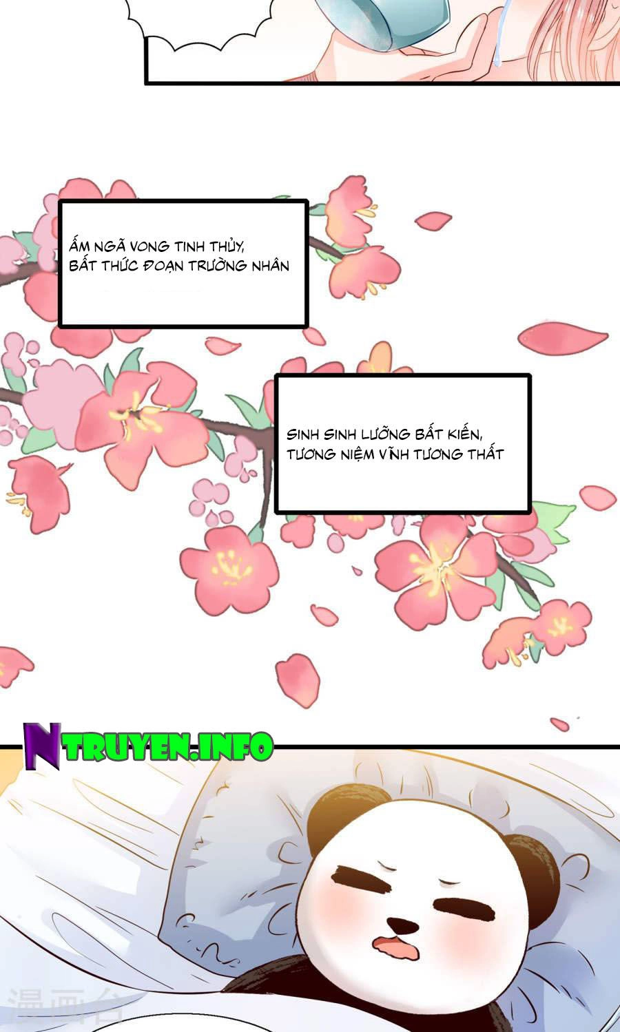 Tôi Bị Gấu Trúc Nhìn Trúng Rồi Chapter 12 - 28