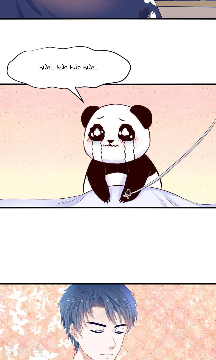 Tôi Bị Gấu Trúc Nhìn Trúng Rồi Chapter 12 - 34