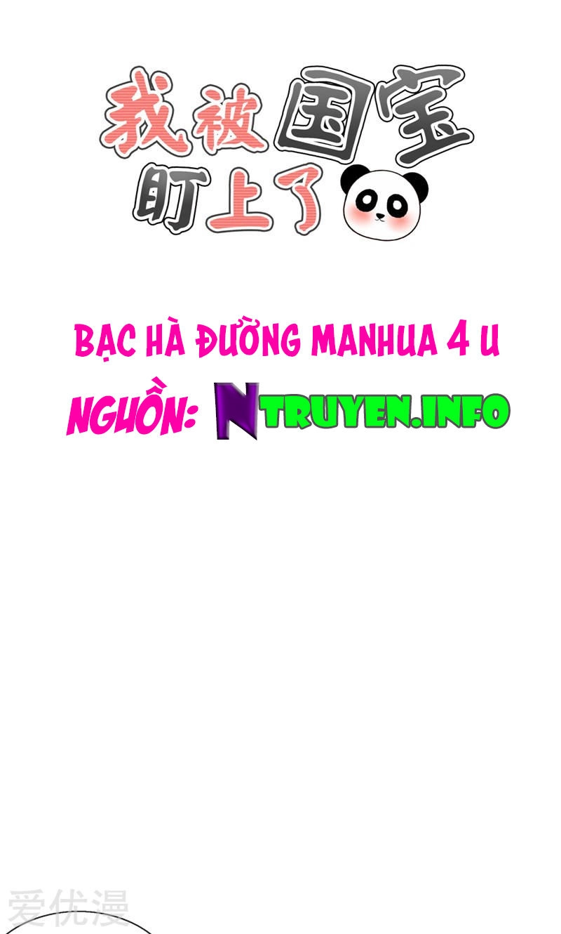 Tôi Bị Gấu Trúc Nhìn Trúng Rồi Chapter 14 - 1