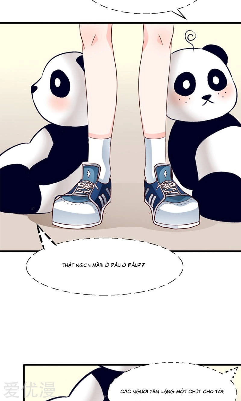 Tôi Bị Gấu Trúc Nhìn Trúng Rồi Chapter 14 - 5